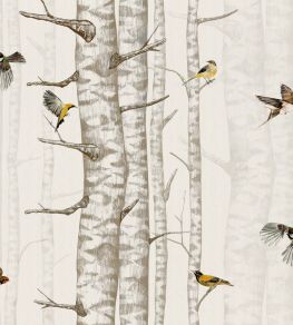 Birch Trees Wallpaper by Coordonne Beige Birch Trees Wallpaper by Coordonne Beige