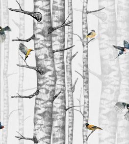 Birch Trees Wallpaper by Coordonne Grey Birch Trees Wallpaper by Coordonne Grey