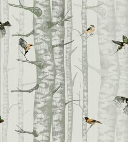 Birch Trees Wallpaper by Coordonne Silvester