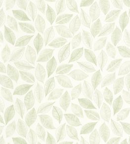 Bliss Wallpaper by Caselio Blanc Vert Mousse Bliss Wallpaper by Caselio Blanc Vert Mousse