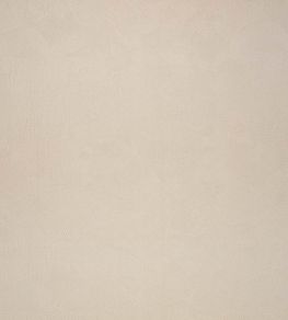 Boa Fabric by Black Edition Pampas Boa Fabric by Black Edition Pampas