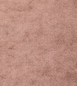 Boho Velvets Fabric by Sanderson Conch Boho Velvets Fabric by Sanderson Conch
