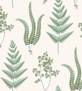 Herba Wallpaper by Borastapeter 57 Herba Wallpaper by Borastapeter 57