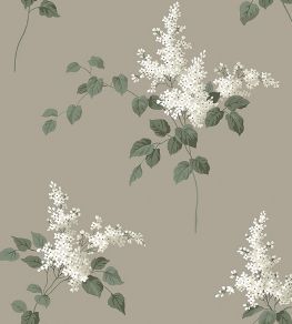 Lilacs Wallpaper by Borastapeter 67