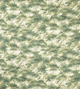 Boschetto Fabric by Clarke & Clarke Forest Boschetto Fabric by Clarke & Clarke Forest