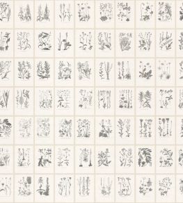 Botanica Mural by Sandberg Graphite Botanica Mural by Sandberg Graphite
