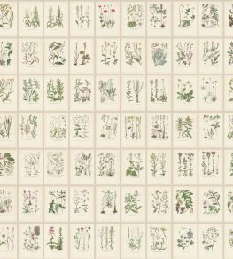 Botanica Mural by Sandberg Oat Botanica Mural by Sandberg Oat