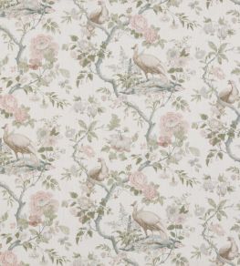 Broughton Rose Fabric by GP & J Baker Blush Broughton Rose Fabric by GP & J Baker Blush