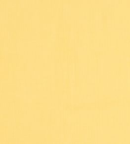 Brynn Fabric by Thibaut Daisy Brynn Fabric by Thibaut Daisy