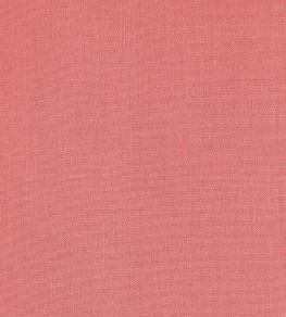 Brynn Fabric by Thibaut Papaya Brynn Fabric by Thibaut Papaya