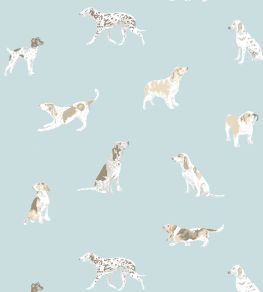 Buddy Wallpaper by Anna French Robin's Egg Buddy Wallpaper by Anna French Robin's Egg