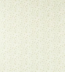 Buta Fabric by Clarke & Clarke Sage Buta Fabric by Clarke & Clarke Sage