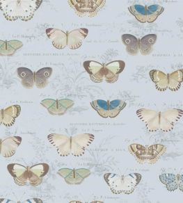 Butterfly Studies Wallpaper by Designers Guild Cloud Blue Butterfly Studies Wallpaper by Designers Guild Cloud Blue