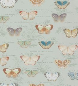 Butterfly Studies Wallpaper by Designers Guild Eau De Nil Butterfly Studies Wallpaper by Designers Guild Eau De Nil