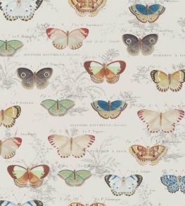Butterfly Studies Wallpaper by Designers Guild Parchment Butterfly Studies Wallpaper by Designers Guild Parchment