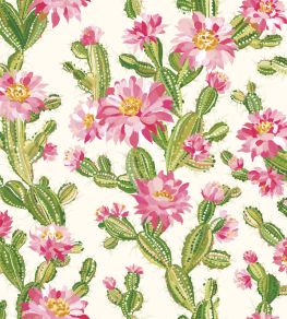 Cactus Bloom Wallpaper by Ohpopsi Rasperry Ripple