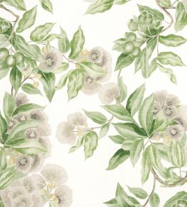 Camellia Garden Fabric by Anna French Spring on White Camellia Garden Fabric by Anna French Spring on White