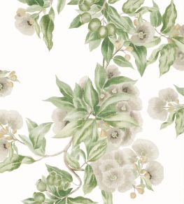 Camellia Garden Wallpaper by Anna French Spring on White Camellia Garden Wallpaper by Anna French Spring on White