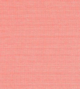 Cameron Fabric by Thibaut Coral Cameron Fabric by Thibaut Coral
