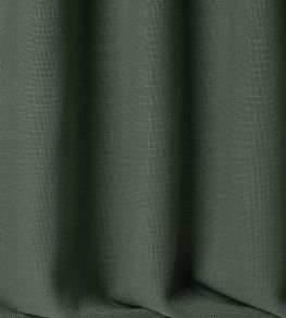 Camote Fabric by Pepe Penalver Spruce