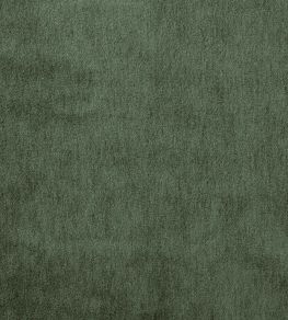 Cape Mohair Fabric by Warwick Thyme