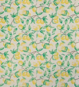 Capri Lemon Fabric by Barneby Gates Natural