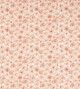 Cara Fabric by Clarke & Clarke Spice