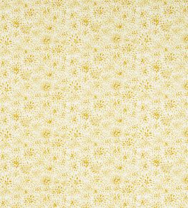 Cara Fabric by Clarke & Clarke Sunshine Cara Fabric by Clarke & Clarke Sunshine