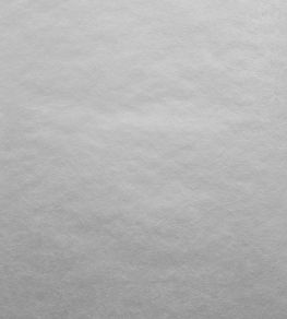 Carla Wallpaper by 1838 Wallcoverings Silver Carla Wallpaper by 1838 Wallcoverings Silver