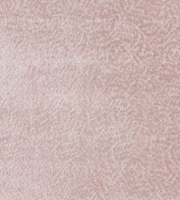 Cartouche Fabric by Designers Guild Blossom Cartouche Fabric by Designers Guild Blossom