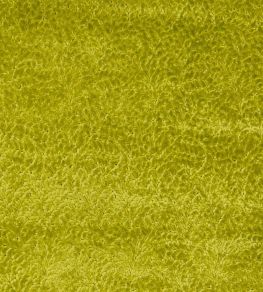 Cartouche Fabric by Designers Guild Moss