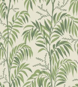 Casablanca Afternoon Wallpaper by Langelid Von Bromssen Palm Green Casablanca Afternoon Wallpaper by Langelid Von Bromssen Palm Green