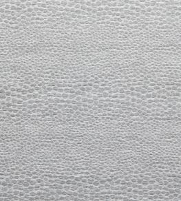 Castus Fabric by Clarke & Clarke Dove Castus Fabric by Clarke & Clarke Dove