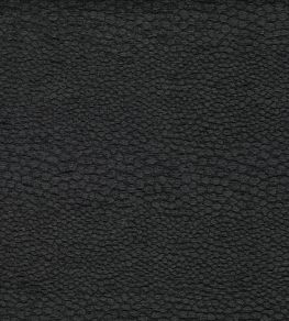 Castus Fabric by Clarke & Clarke Ebony