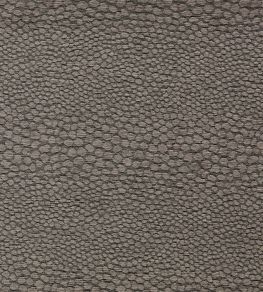 Castus Fabric by Clarke & Clarke Espresso