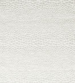 Castus Fabric by Clarke & Clarke Ivory