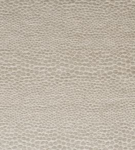 Castus Fabric by Clarke & Clarke Linen