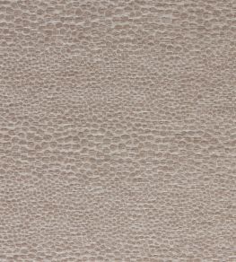 Castus Fabric by Clarke & Clarke Mink Castus Fabric by Clarke & Clarke Mink