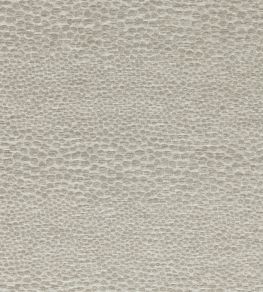 Castus Fabric by Clarke & Clarke Pebble Castus Fabric by Clarke & Clarke Pebble