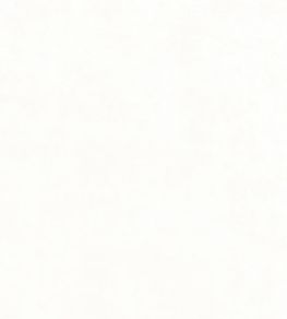 Celeste Velvet Fabric by Thibaut Ivory Celeste Velvet Fabric by Thibaut Ivory