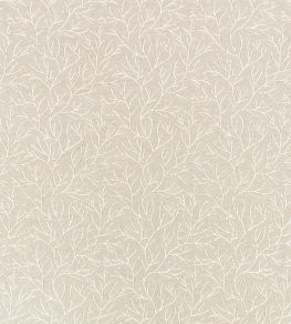 Cerelia Fabric by Villa Nova Birch Cerelia Fabric by Villa Nova Birch