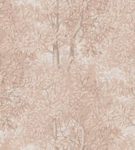 Charles Mural by Sandberg Blush