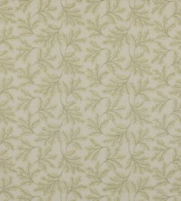 Chelsea Fern Fabric by GP & J Baker Spring Green Chelsea Fern Fabric by GP & J Baker Spring Green