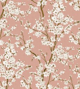 Cherry Blossom Wallpaper by Coordonne Rose Cherry Blossom Wallpaper by Coordonne Rose