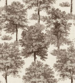 Chestnut Tree Wallpaper by Coordonne Clay Chestnut Tree Wallpaper by Coordonne Clay