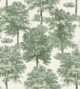 Chestnut Tree Wallpaper by Coordonne Green Chestnut Tree Wallpaper by Coordonne Green
