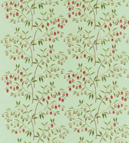Chinese Lantern Fabric by Sanderson Mint & Apricot