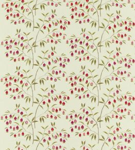 Chinese Lantern Fabric by Sanderson Wild Plum Chinese Lantern Fabric by Sanderson Wild Plum