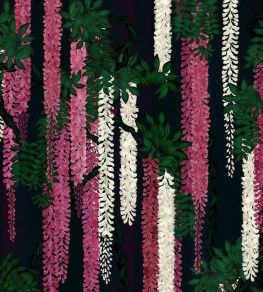 Wisteria Alba Mural by Christian Lacroix Magenta