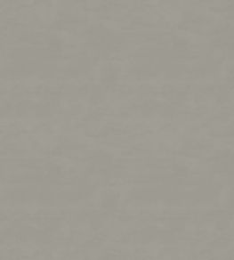 Cipriana Fabric by Warwick Champagne